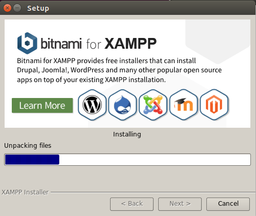 install xampp server